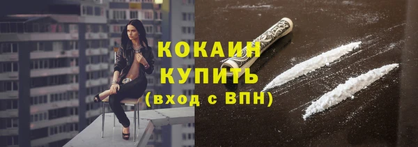 молекула духа Козловка