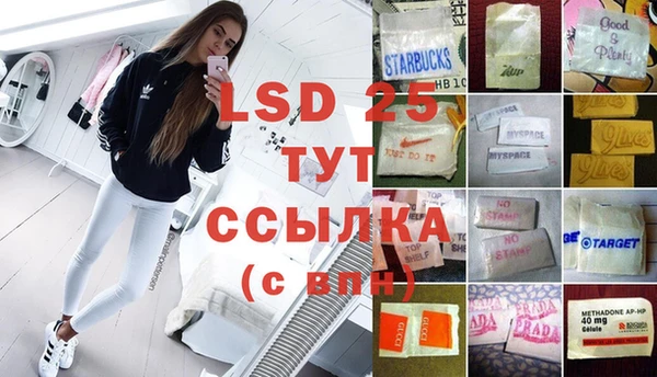 молекула духа Козловка
