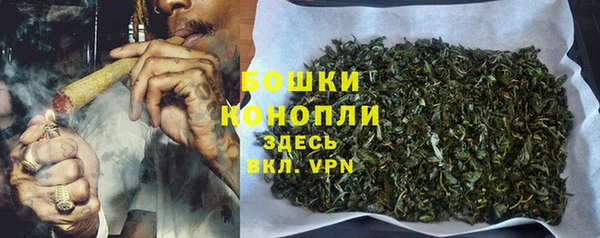 молекула духа Козловка