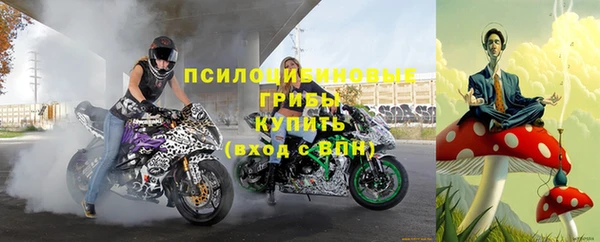 молекула духа Козловка