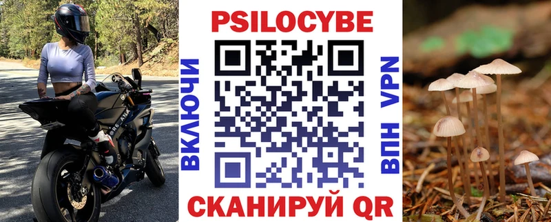 Купить закладки  Полысаево  Галлюциногенные грибы Psilocybine cubensis 